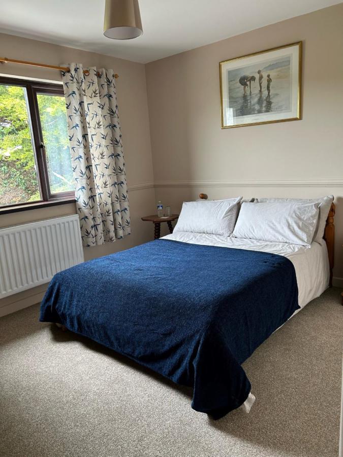 Long View Guest Accommodation Downpatrick Extérieur photo